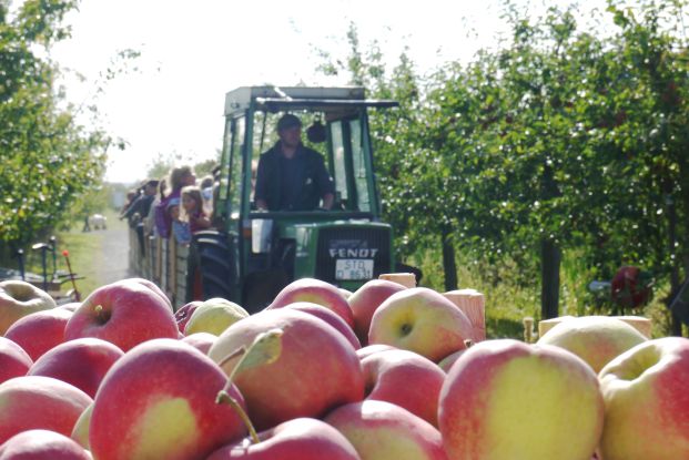 Hofführung mit Apfelexpressfahrt durch den Bio-Obsthof des Herzapfelhofes, © Herzapfelhof Lühs