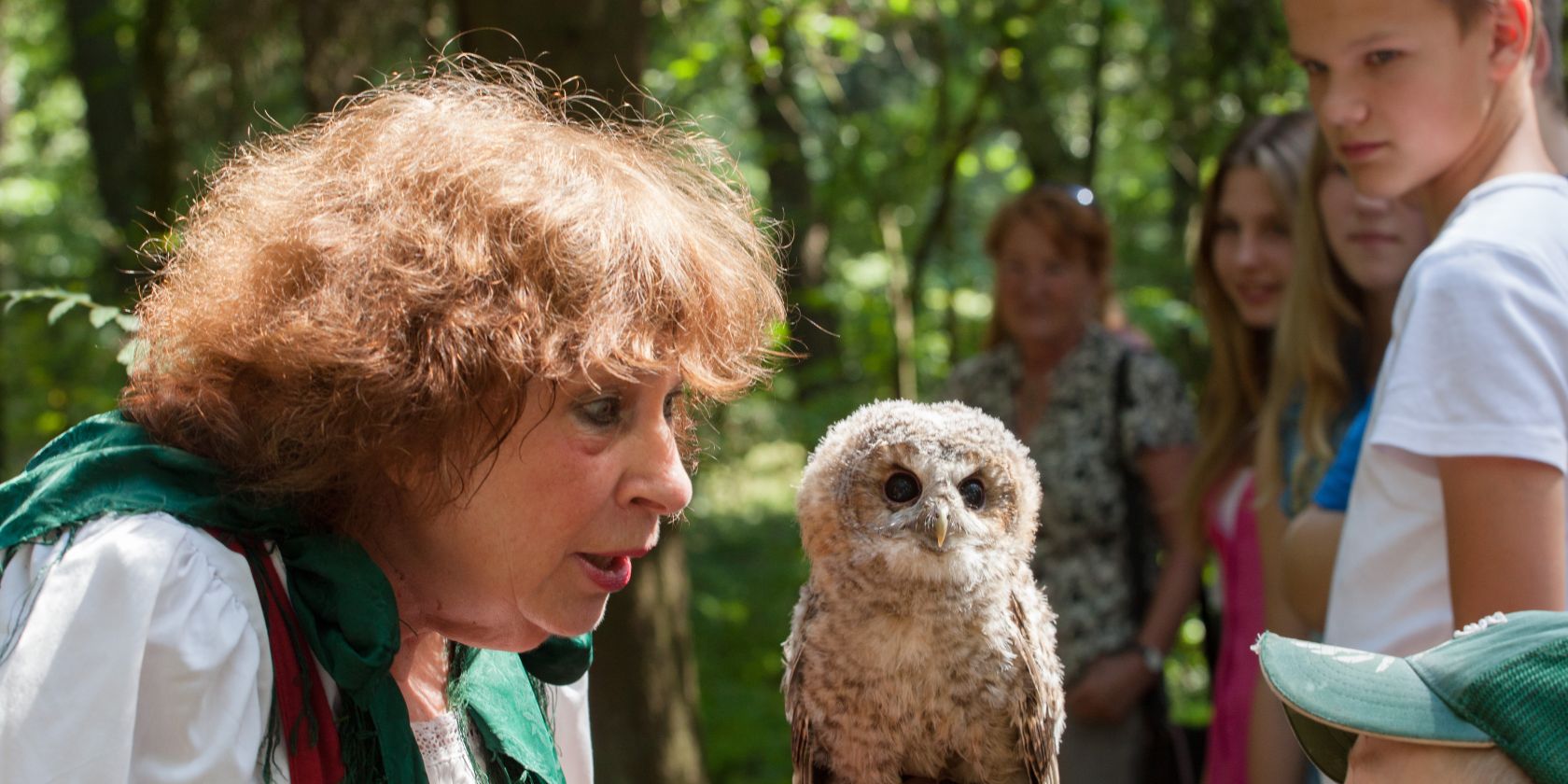 Greifvögel aus nächster Nähe, © Bispingen Touristik e.V.