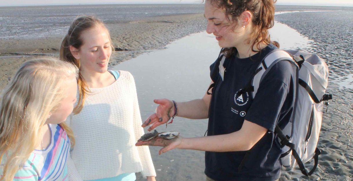 Lange Wattwanderung von Büsum bis Stinteck