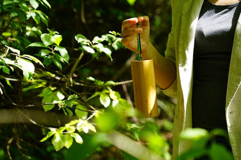 Person hält ein Windspiel im Wald.