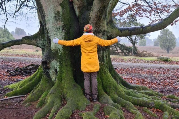 Waldyoga mit Miriam Lütjen