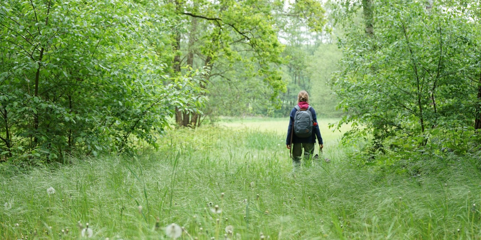 Naturgang, © Dörthe Winter