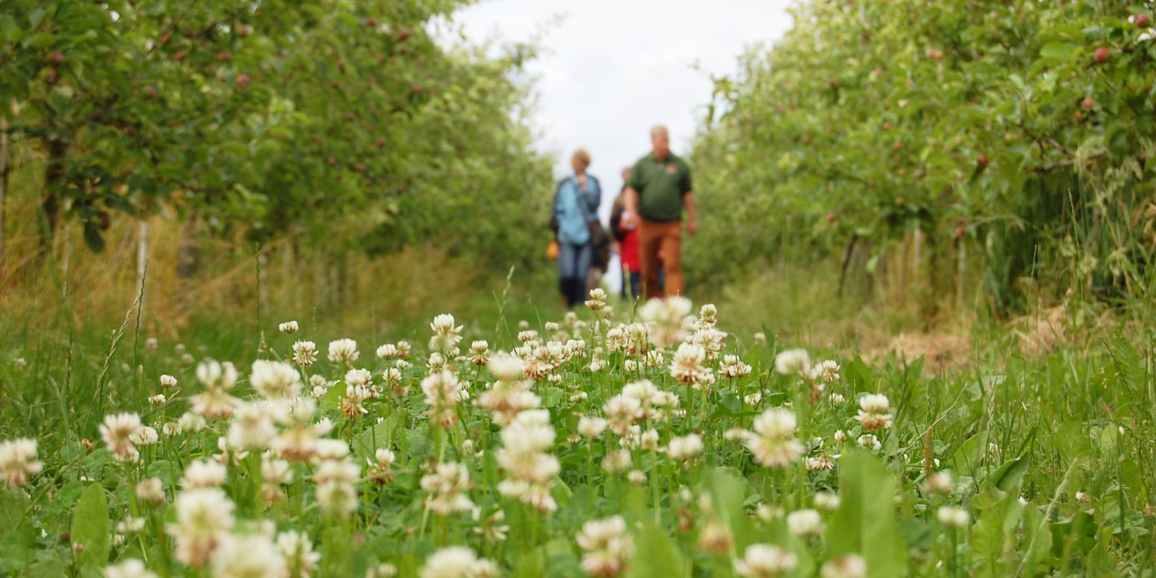 Obsthofwanderung auf dem Herzapfelhof im Alten Land, © Herzapfelhof Lühs