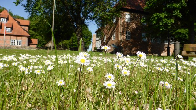 Mittsommernachtsfest auf Burg Bodenteich, © Kurverwaltung Bad Bodenteich