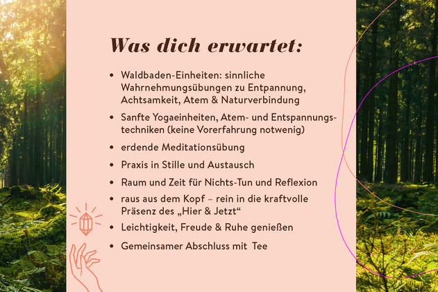 Forest Flow- Yoga & Waldbaden - was dich erwartet