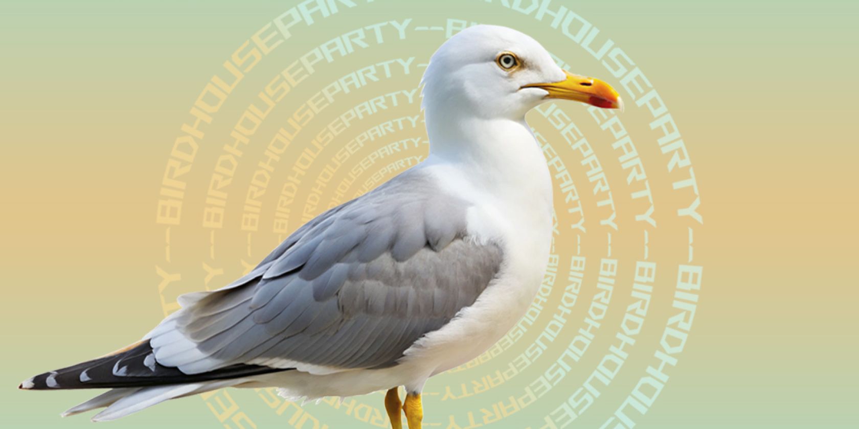hafenklang_frontflyer, © captains_mikrokosmos