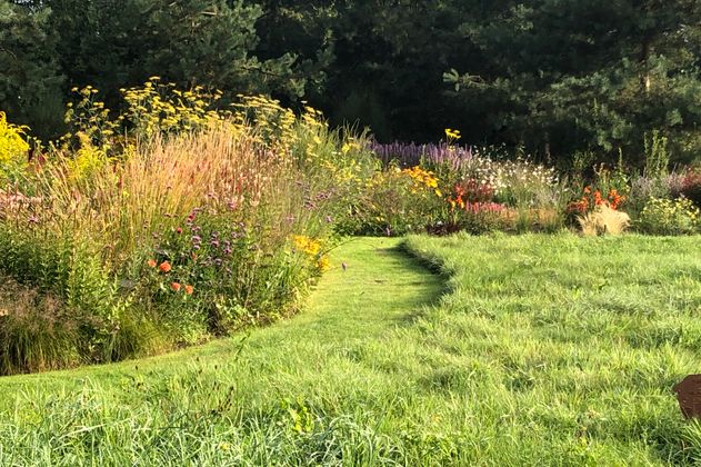 Wildblumen wachsen entlang des saftig grünen Rasens im Garten am Mühlenbach in Hanstedt. 