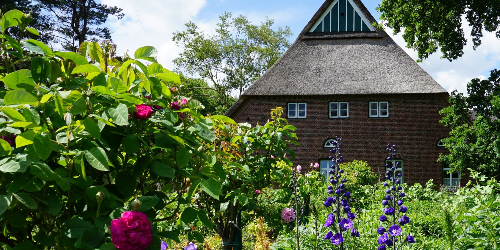 Historischer Münsterhof, © Urte Wurtzel