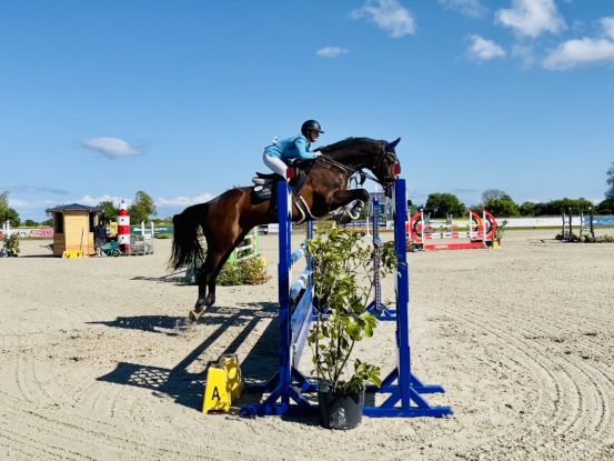 Springturnier im Reitsportzentrum Fehmarn, © FRRV/Julia Kujaw