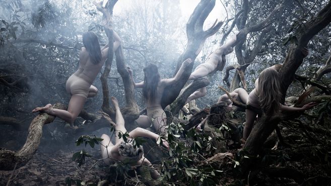 Six performers writhe around the branches of a tree. They are wearing beige underwear. The atmosphere is gloomy, the tree is bare and shrouded in fog.