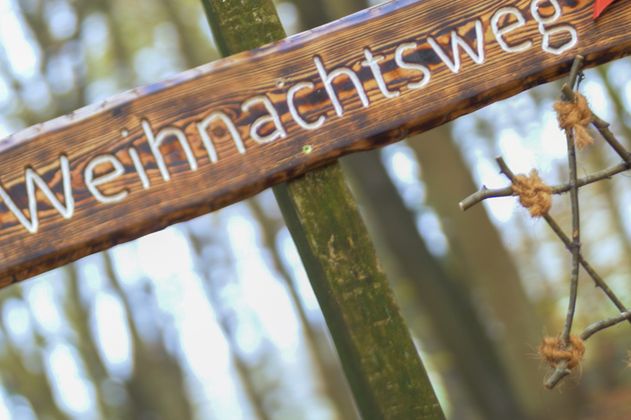 Beginn des Weihnachtswaldweges
