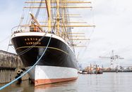 SHMH Sinje Hasheider