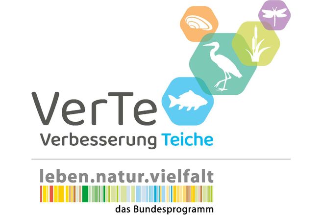 Logo des Projekts VerTe - Verbesserung Teiche mit Symbolen von Tieren und Pflanzen.