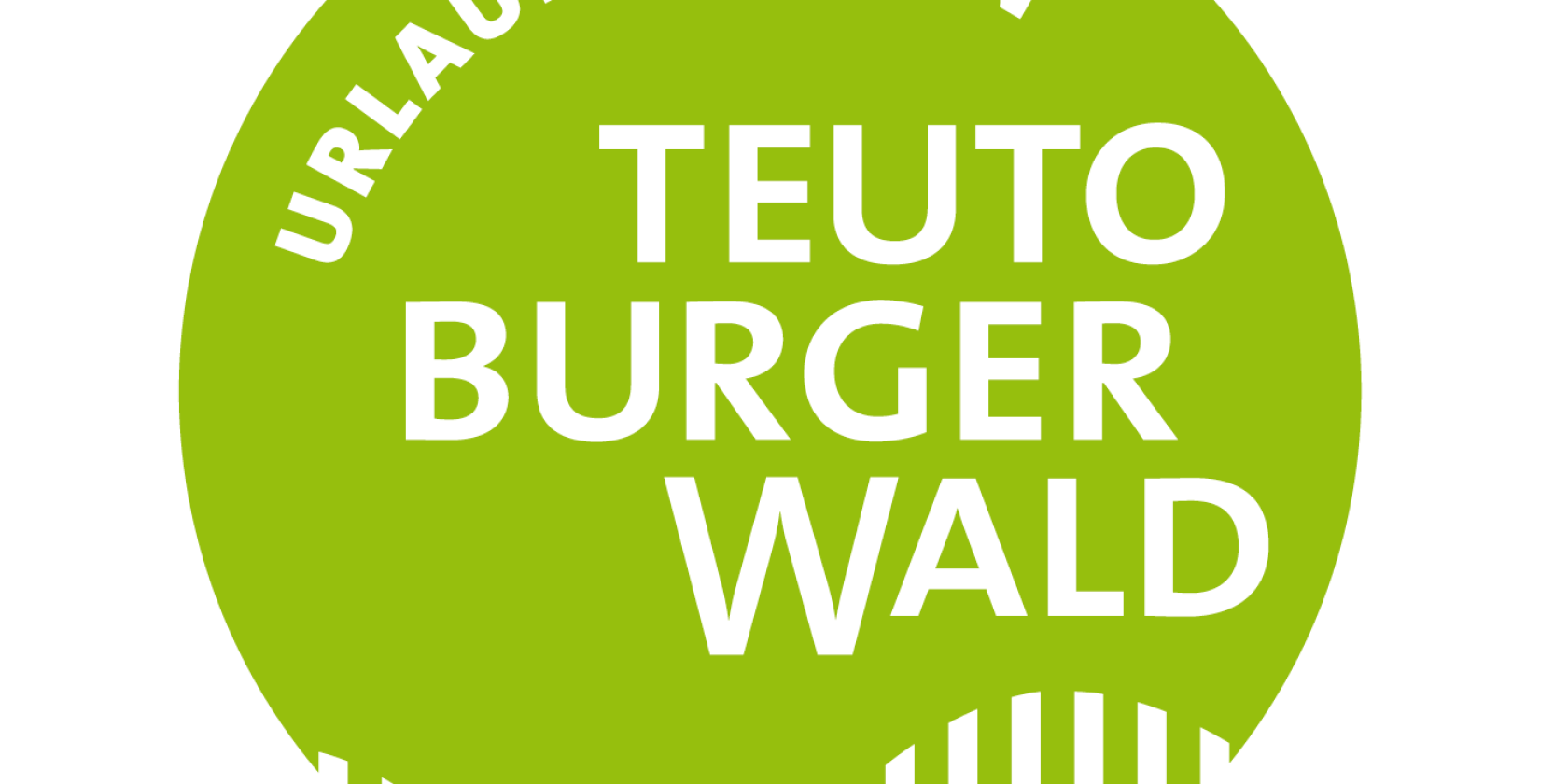 logo, © test