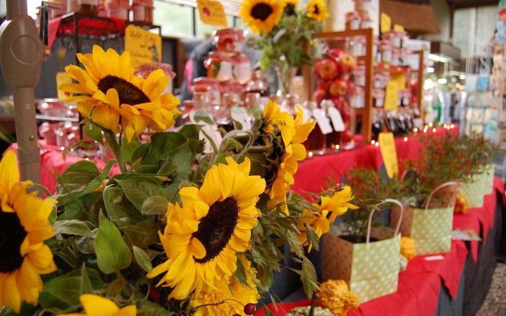 Herbstmarkt im Wildpark Schwarze Berge
