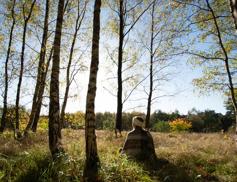 Person sitzt beim Waldbaden im Herbst zwischen Birken im Wald