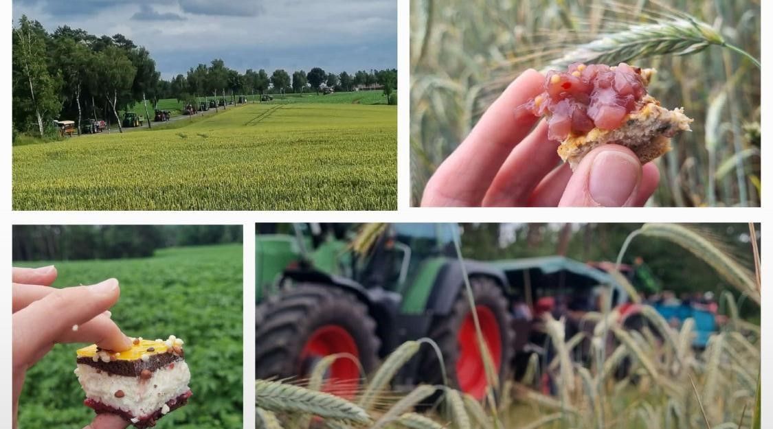Collage von Bildern einer ländlichen Umgebung mit Mohnblumen, Feldern, Traktoren und kulinarischen Snacks in der Hand gehalten.