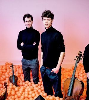 vision string quartet