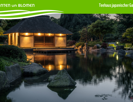 Teehaus jap. Garten