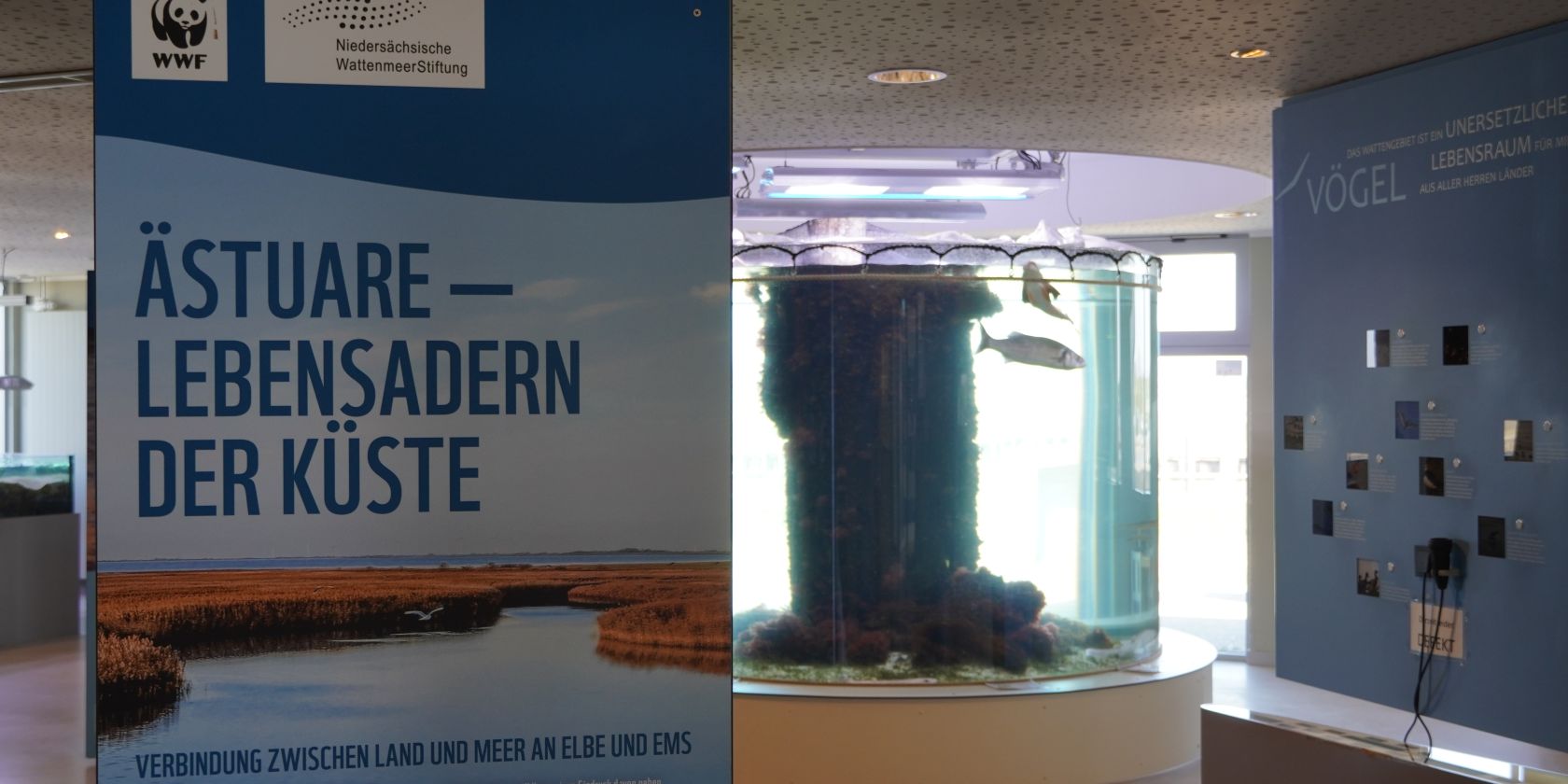 Sonderausstellung: Ästuare-Lebensraum der Küste!, © NPH
