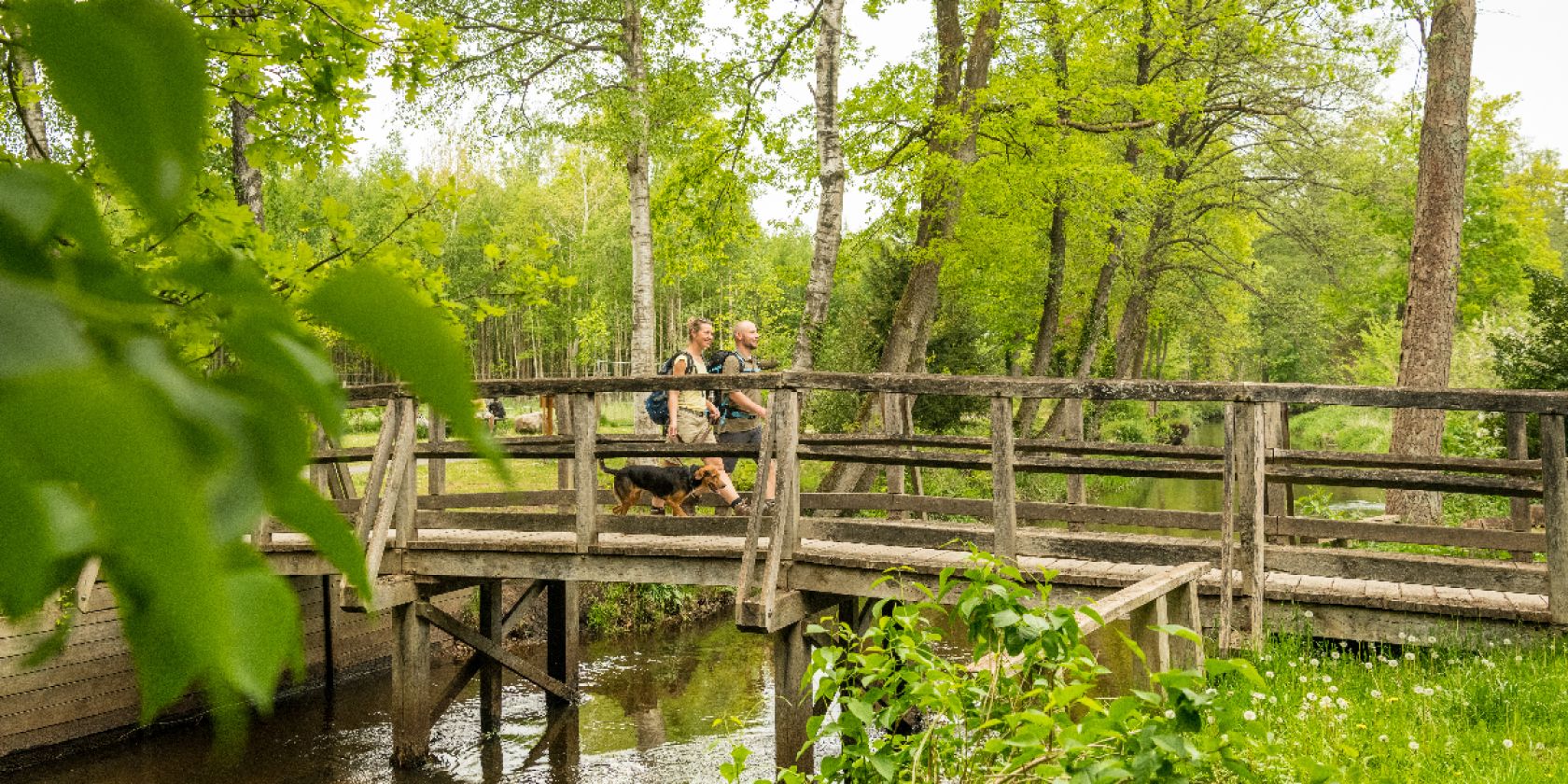 Wietze Brücke in Müden (Örtze), © Lüneburger Heide GmbH | Dominik Ketz