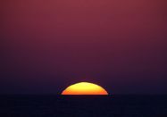 Schutzstation Wattenmeer e. V