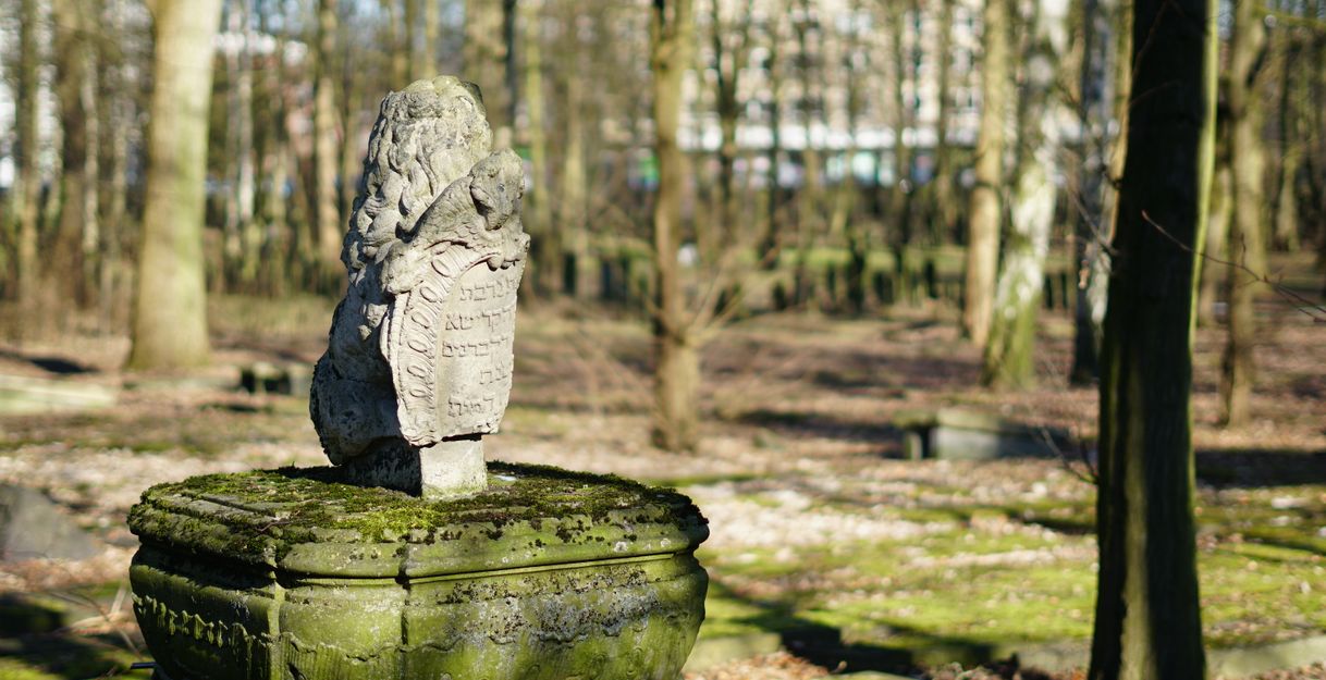 Jüdischer Friedhof an der Königstraße (2025)