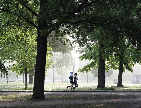 Zwei Personen joggen in einem grünen Park unter großen Bäumen.