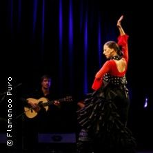 Flamenco Puro
