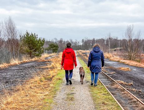 Zwei Personen spazieren mit einem Hund auf einem Weg im Himmelmoor.