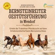 Gestütsführung Wendorf