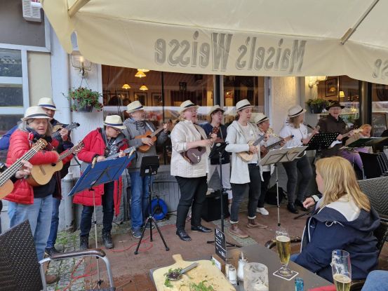 4. Bad Segeberger Ukulele-Tag, © Verlag@detlef-dreesen.de