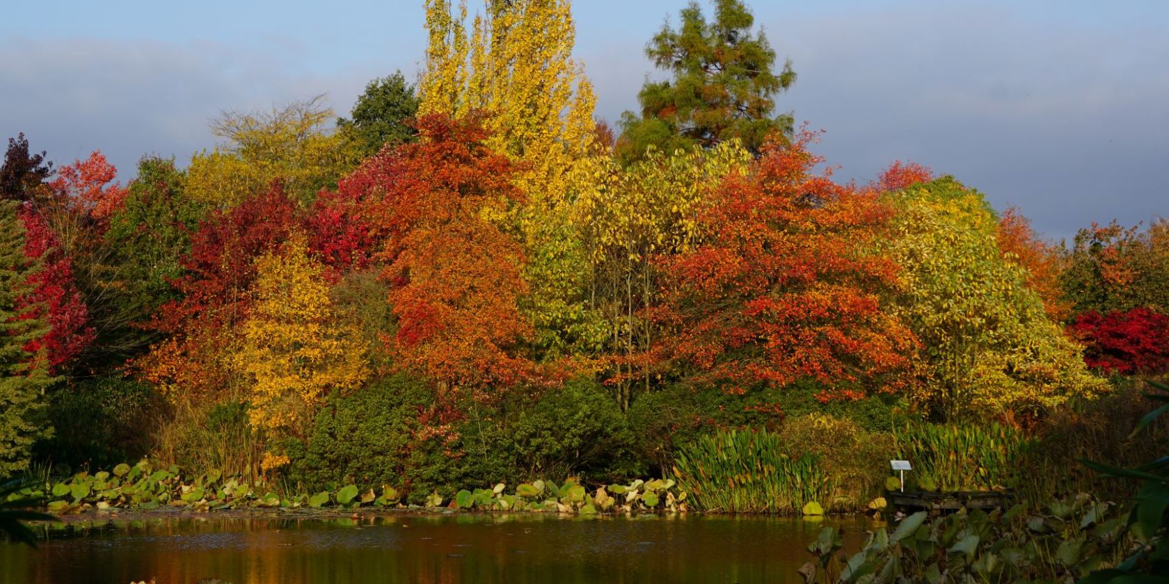 Herbstfärbung, © Urte Wurtzel