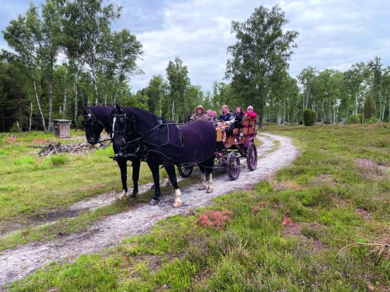 TZR_Kleine_Heiderundfahrt_202307251D5868_korr, © Jürgen Reimer