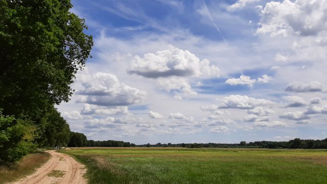 Der Weg, © gehStein