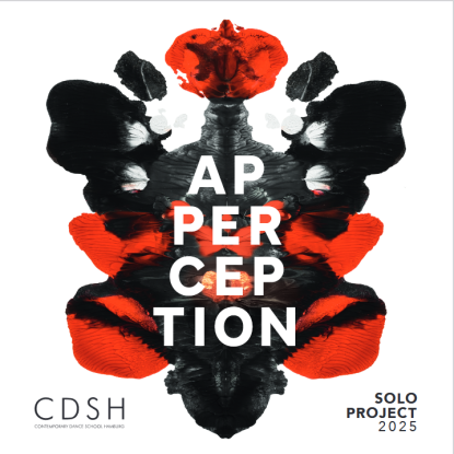 CDSH Solo Project: Apperception // Programm C