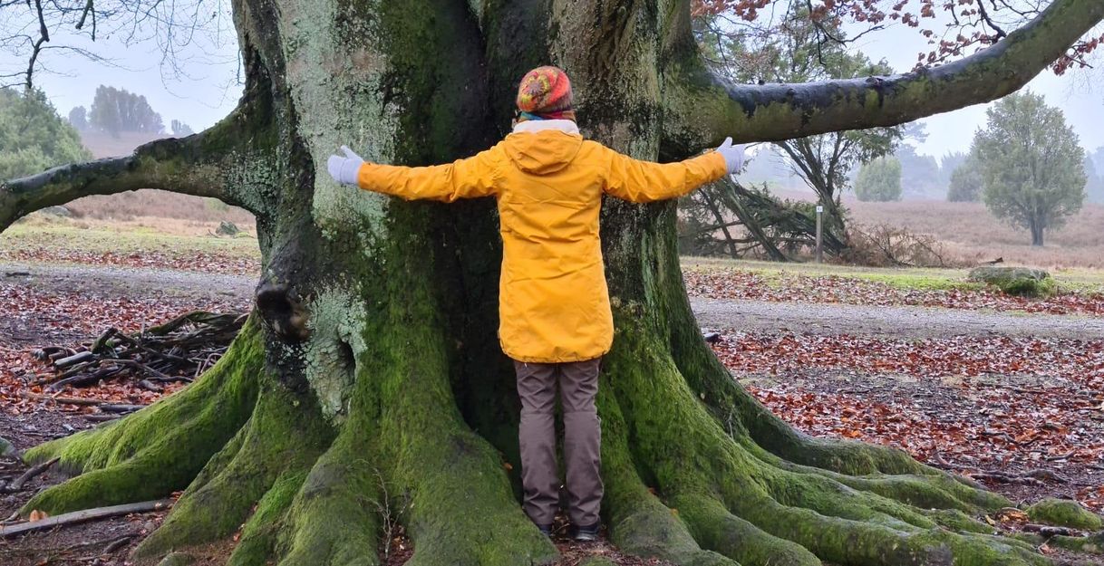 Waldyoga mit Miriam Lütjen