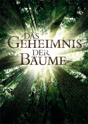 dasgeheimnisderbaeume_aw, © Weltkino