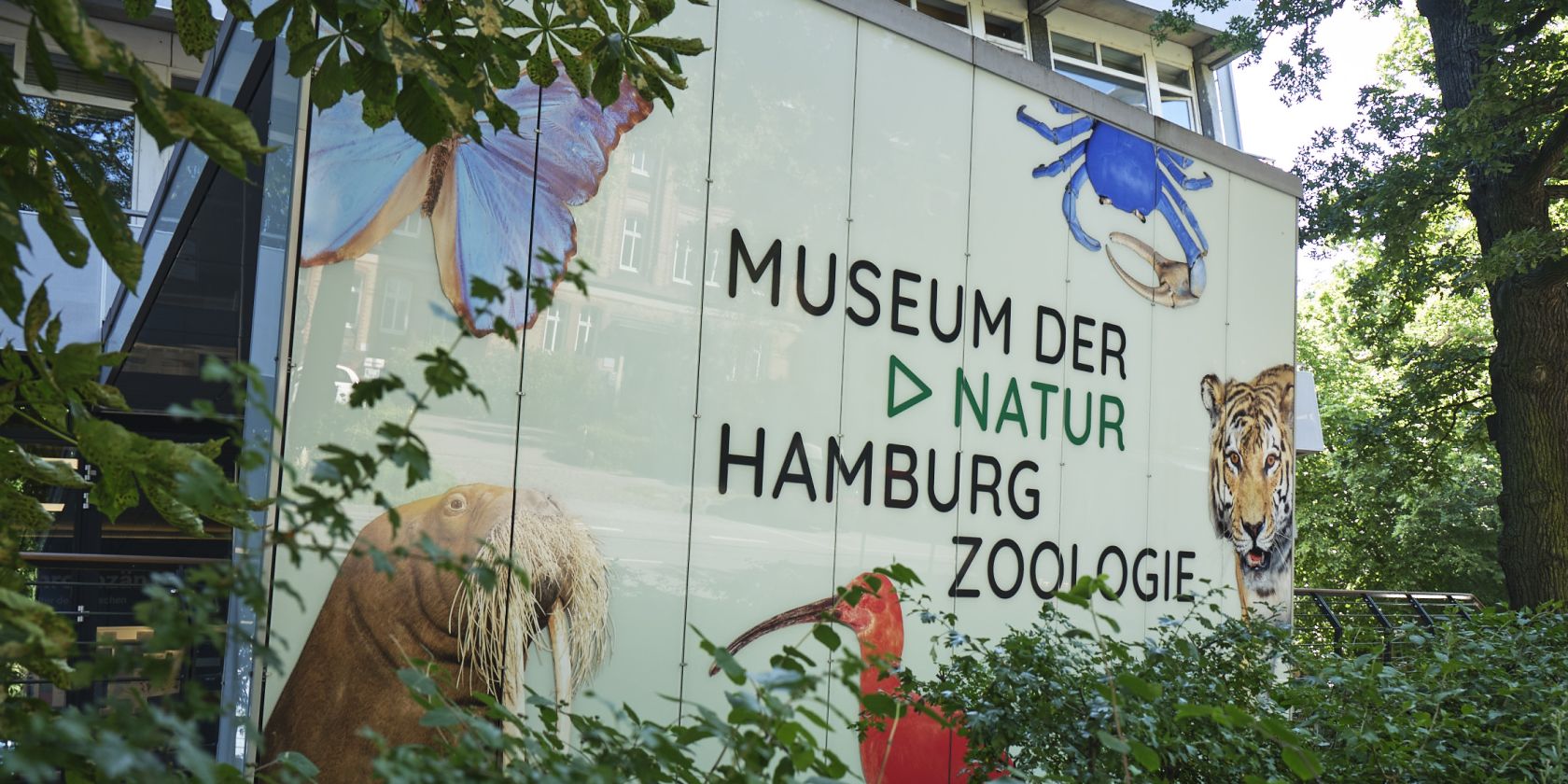zoologie_-benjamin-pichelmann, © Benjamin Pichelmann