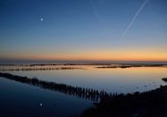 Schutzstation Wattenmeer e. V