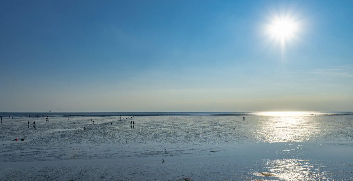 Menschen bei einer Wattwanderung in Büsum unter strahlendem Sonnenschein.