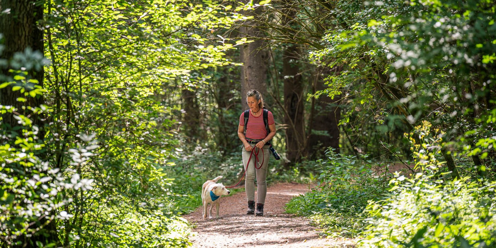 Pfotentour im Naturpark Lüneburger Heide, © Markus Tiemann