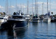 ancora Marina GmbH & Co. KG