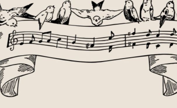 Illustration von Vögeln, die auf einem Notenband sitzen.