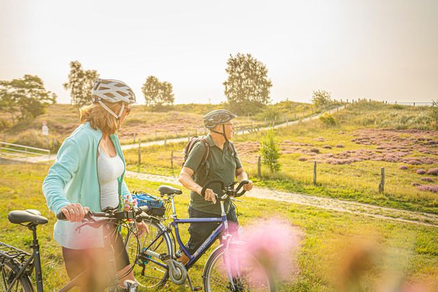 Zwei Personen mit Fahrrädern auf einem Feldweg in einer ländlichen Landschaft mit blühender Heide.