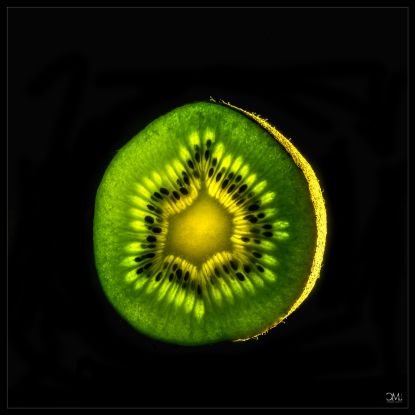 Kleine Wunder der Natur, © club