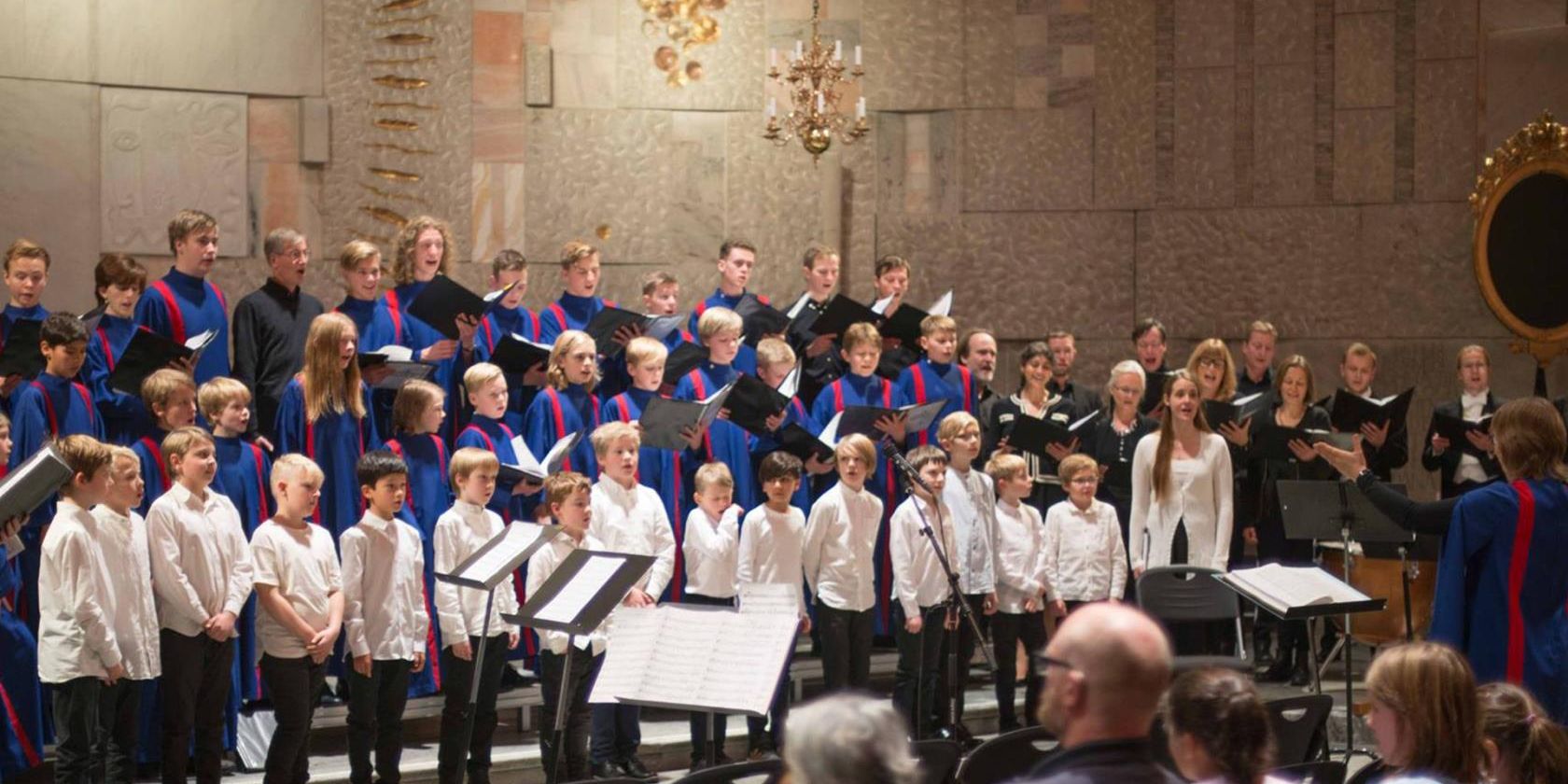 Der Linköping Knabenchor, &quot;Linköpings Gosskör&quot;, © Svenska kyrkan Linköpings domkyrkoförsamling