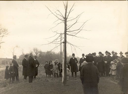 Pflanzung Schubert-Linde 1928, © Archiv Salia Männerchor