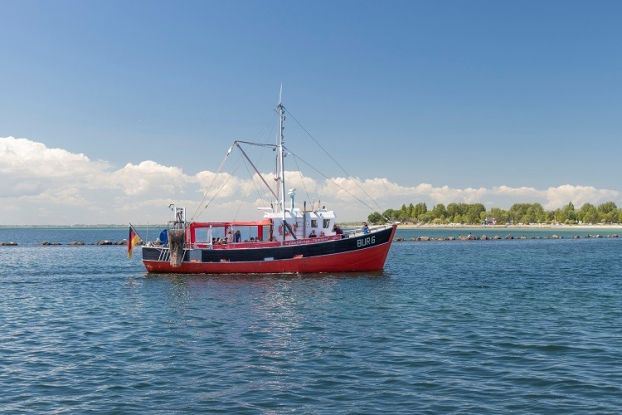Fischkutter "Tümmler", © Inselfischer Fehmarn