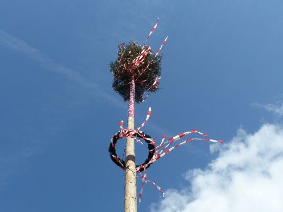 maibaum_2, © Pixabay